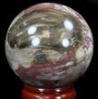 Colorful Petrified Wood Sphere #36959-1